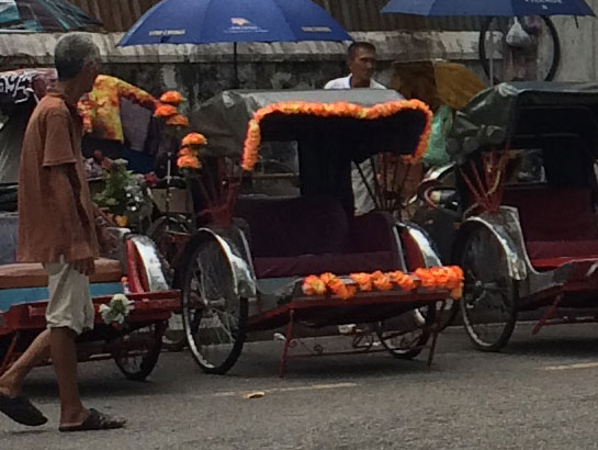 saraherhodes-tri-cycle-real-life